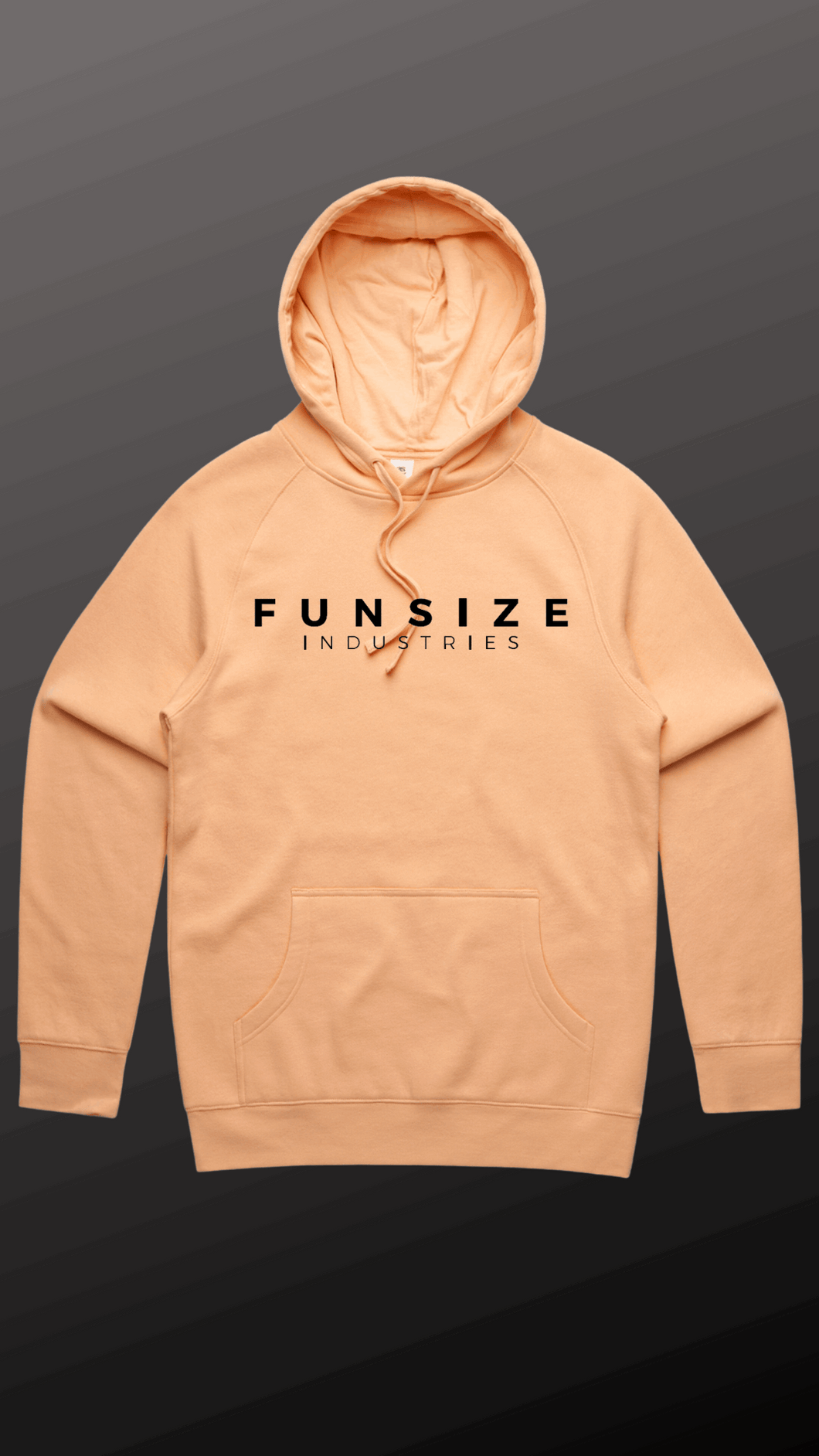 Funsize Industries Hoodie (LIMITED EDITION)