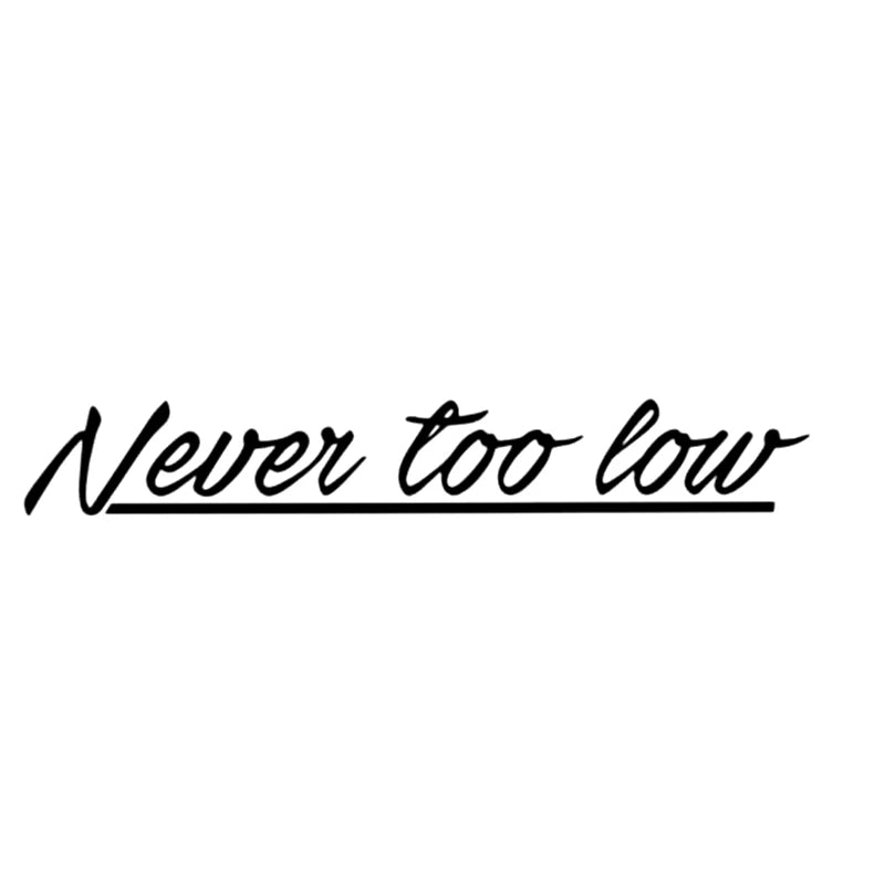 Never Too Low Decal - Funsize Industries
