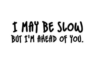 I may be Slow Decal - Funsize Industries